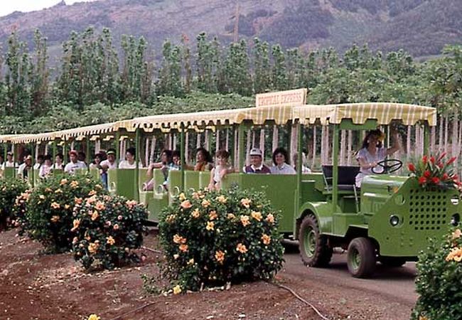 トラム・ライドも楽しい、トロピカル・フルーツ農園