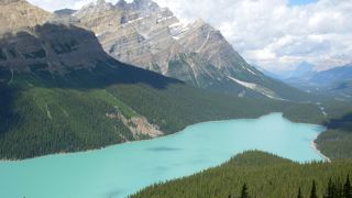 まさに、絵の具のようです。