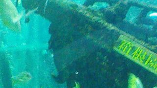 ４つ★水族館。海賊船の沈む大水槽が良いです