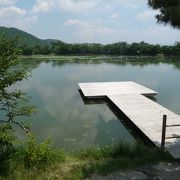 大覚寺の境内にある美しい池