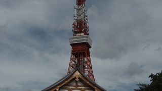 安国殿から見る東京タワー、増上寺散策の巻