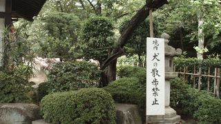 境内は犬の散歩禁止の増上寺、増上寺散策の巻