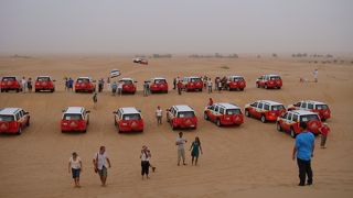 オプショナルツアーの定番