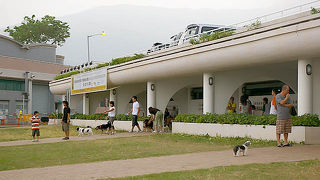 西貢：犬好きの街のドッグ・ランとペット用品店