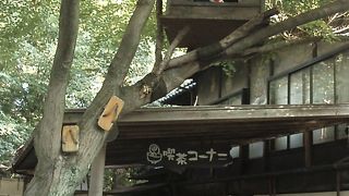 深大寺門前にある鬼太郎茶屋、早朝の深大寺散策の巻