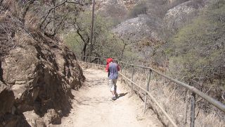 早朝トレッキングがお薦め！