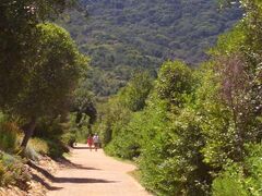 ウェッジビュー カントリー ハウス アンド スパ 写真