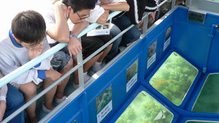 西貢：香港でも海中の珊瑚と熱帯魚が見られます～海下湾海岸公園