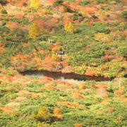 那須岳の紅葉は絶品です。