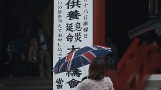 秋恒例の年中行事の菊供養、浅草寺が好き！の巻