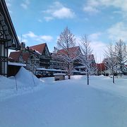 雪質・量ともに最高！