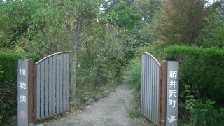 軽井沢町植物園。こじんまりとしたかわいい植物園。