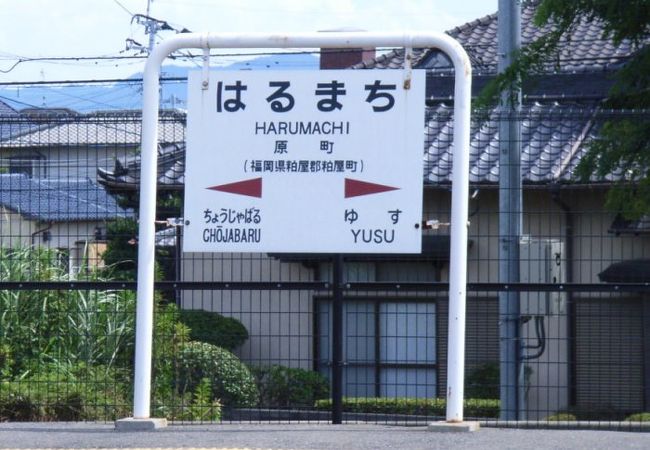 原町駅前公園の桜