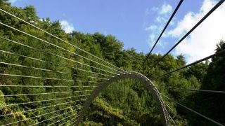 素晴らしいワイヤーアート