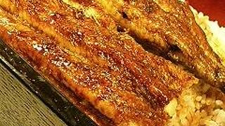 まさに鰻の寝床