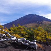 富士山を望む紅葉ビューポイント奥庭自然公園