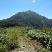 頂上からは大野平野が望めます。