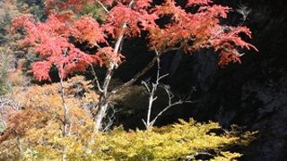 埼玉県を代表する紅葉の名所