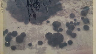 マリモの棲家・阿寒湖！