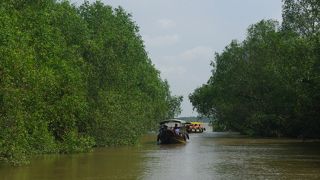 リアルジャングルクルーズ！？