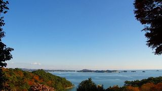 紅葉がお勧めの松島四大観！