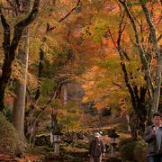 約２０００本のもみじや天目楓がつづく石段の参道が紅葉時には見事です