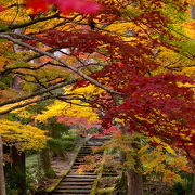 静かに燃える様な紅葉を愛でるなら龍穏寺へ