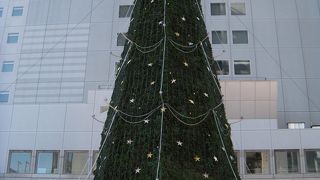 ドイツ・クリスマスマーケット大阪2010