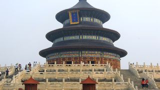 公園の人の多さに圧倒されます