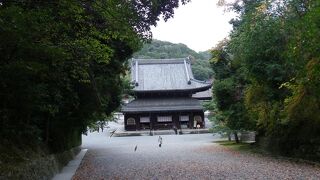 “御寺（みてら）”と親しまれる『泉涌寺』