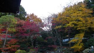 泉涌寺内の「御座所庭園」の紅葉は見事！