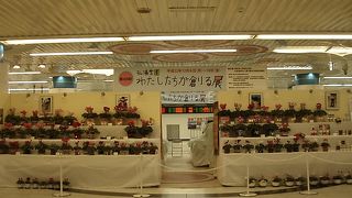 今年も開催の第４８回「わたしたちが創る展」の動輪の広場 、早朝の東京駅が好き！の巻