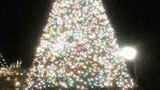 外国情緒満喫！