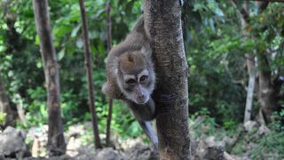 ボラカイ島が見渡せる！