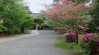 国宝第一号、あのお優しいお顔に会えます