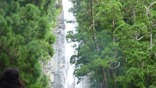 夏の時期に那智の滝を見に行くときは、必ずお水か冷たいお茶を！！