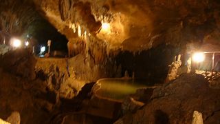 石垣島鍾乳洞　：　コウモリもいます。地底の鍾乳洞の神秘をたっぷり味わえます。