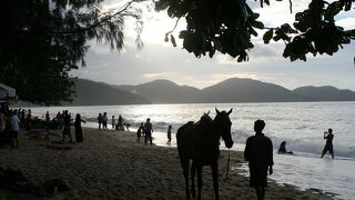 ペナン空港からバス（ラピッド・ペナン）で直接バトゥ・フィンリギ方面にはU102が便利