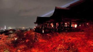 幻想的な秋のライトアップ★