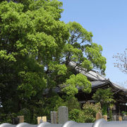 手入れの行き届いた美しい庭があるお寺です