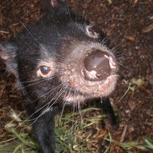 220x220_10172038.jpg?