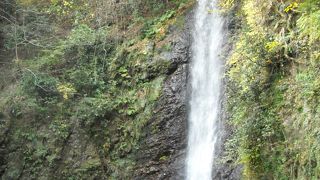 自然を満喫できる滝