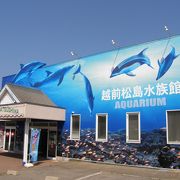 地味な水族館ですが