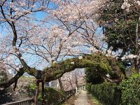 松川遊歩道