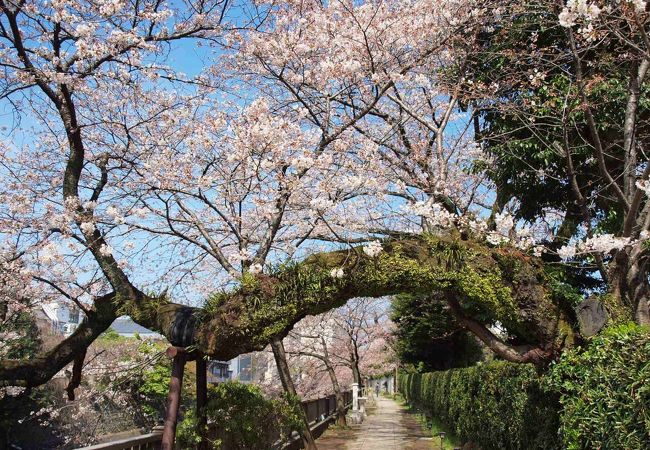 松川遊歩道