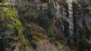 メテオラとたくましい猫たち。