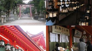 「万燈籠」特別展示と鹿みくじ　春日大社