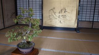 馬酔木展開催中