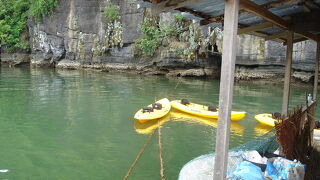 是非体験してもらいたいマングローブ・カヤックツアー