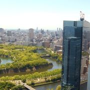 夜景も良いが、３８階から桜を見下ろす昼景も◎